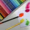 BARVICE CARAN D'ACHE SCHOOL LINE AKAVREL 12 BARV