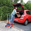 VOZIČEK TRANSPORTNI PRENOSNI PICCOLINO FAMILY 125 kg