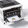 Barvni laserski Tiskalnk Brother HL-L8260CDW