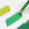 BARVICE CARAN D'ACHE PABLO PERMANENT SET 40 BARV