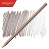 BARVICA CARAN D'ACHE SUPRACOLOR AKVALER 404 BROWISH BEIGE