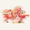 BARVICE POLYCHROMOS 36/1