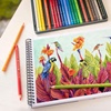 BARVICE POLYCHROMOS 24/1