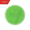 CARAN D'ACHE CHROMATICS DELICATE GREEN 50 ML