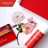 CARAN D'ACHE PROTECTOR FIXATIV 170 ML