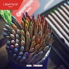 CARAN D'ACHE DRY PASTEL PENCILS SET 12 BARV