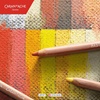 CARAN D'ACHE DRY PASTEL PENCILS SET 20 BARV