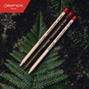 CARAN D’ACHE SWISS WOOD SET 5/1