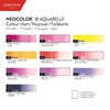 CARAN D'ACHE NEOCOLOR II AQUARELLE POP PASTELS SET 10 - 50 Years Special Edition