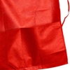 CARAN D'ACHE ARTIST RED APRON