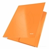 MAPA AE LEITZ Z ELASTIKO COZY