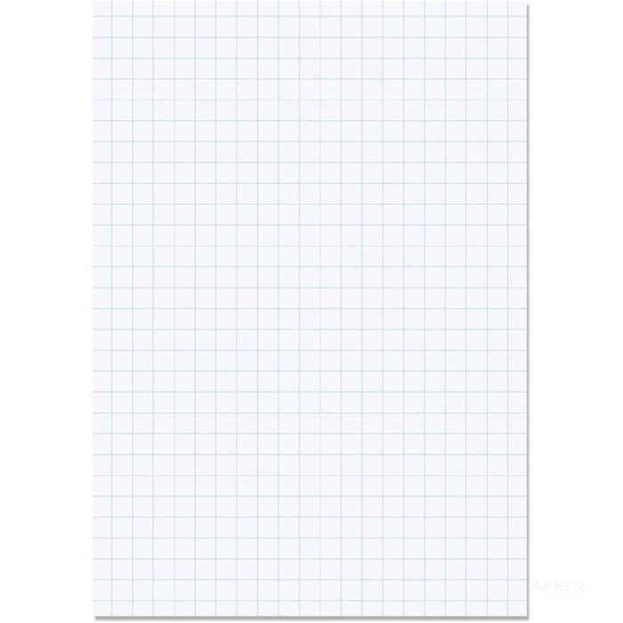 PAPIR A3 TRGOVSKI KARO 100/1