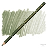 CARAN D'ACHE PABLO 666 019 OLIVE BLACK