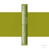 CARAN D'ACHE NEOPASTEL 016 KHAKI GREEN
