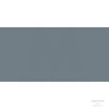 CARAN D'ACHE NEOPASTEL 006 MOUSE GREY