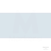 CARAN D'ACHE NEOPASTEL 002 SILVER GREY